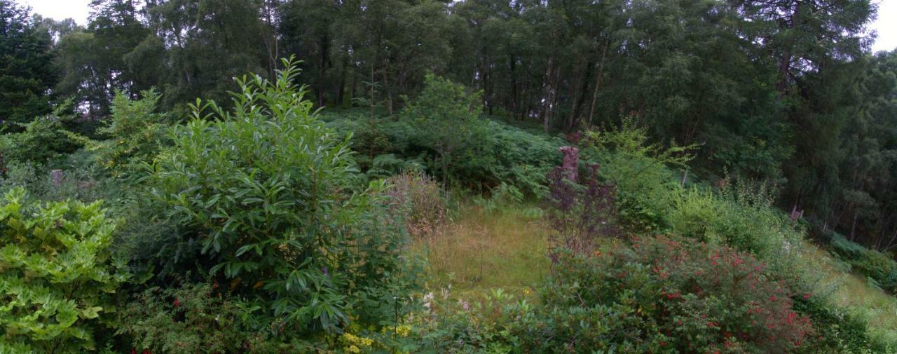 Pottery House Loch Ness Bed and Breakfast Inverness Buitenkant foto